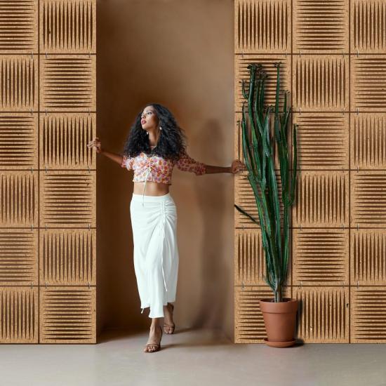 Ham